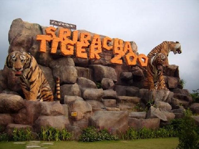 สวนเสือศรีราชา (Sriracha Tiger Zoo)